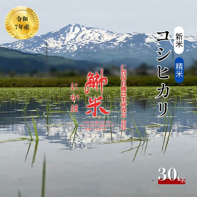 特別栽培米 鰰米 コシヒカリ にかほ 精米 30kg