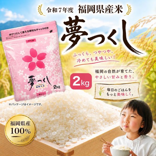 【定期便 年6回】おいしかぁ～便 詰め合わせセット 6ヶ月 お楽しみ ファミリーセット 家族用 野菜 やさい 米 新鮮 新鮮野菜 家庭用 新鮮 福岡県 大刀洗町