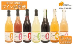 【6ヶ月定期便/毎月お届け】デイリーワイン 750ml×1本 おまかせ 赤 白 ロゼ スパークリング 酒 クラフト ギフト プレゼント 母の日 父の日 K2709