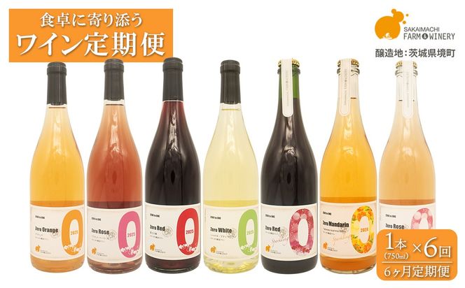 【6ヶ月定期便/毎月お届け】デイリーワイン 750ml×1本 おまかせ 赤 白 ロゼ スパークリング 酒 クラフト ギフト プレゼント 母の日 父の日 K2709