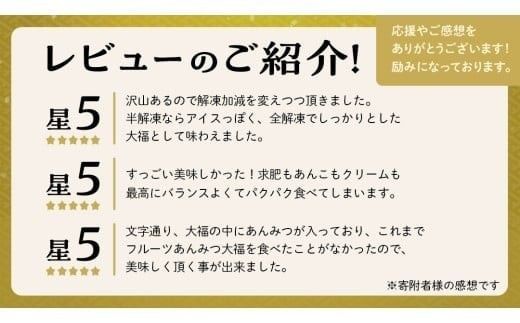 スピード発送!! 【 菓子庵たちかわ 】 フルーツ あんみつ 大福 10個 ( 5個入 × 2箱 )  スピード発送 スピード配送 手作り もちもち スイーツ もち 和菓子 菓子 お菓子 生クリーム クリーム あんこ 餡子 こしあん 小豆 チェリー さくらんぼ  みかん オレンジ パイナップル パイン 黒蜜 黒糖 寒天 果物 [AY004ci]