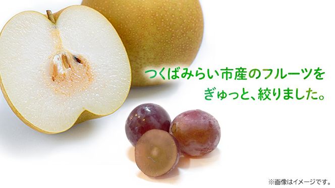 地元農家が作る つくばみらい市産 梨 を使った 梨ジュース・ぶどうジュース 720ml 2本セット 果汁100％ 朝食 飲み物 飲料 果実飲料 フルーツ 果物 ドリンク やわら飯塚農園