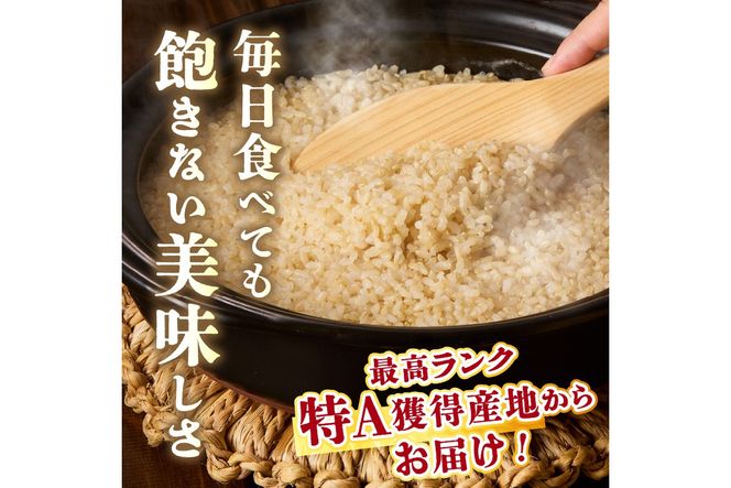 【3ヶ月定期便】直売所直送「令和7年産　京丹後市産　コシヒカリ」　玄米10kg ふるさと納税 米 玄米 特A 検査1等米 国産 こめ ごはん 京都産 コシヒカリ 農家応援 生産者応援 送料無料　JA00088S