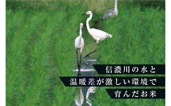 令和8年産米 先行予約 新米 極上魚沼産コシヒカリ 令和8年産米 2kg(1kg×2)【先行受付10月下旬～順次発送】 ゆきまち米