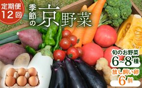 【毎月定期便】【産地直送】旬のお野菜詰め合わせ 京野菜セット8種類 平飼い卵 6個付き全12回