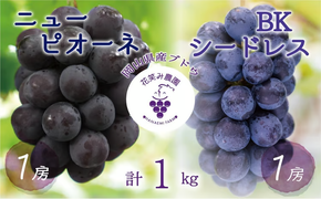 【2026年先行予約】 岡山 花笑み農園の『ニューピオーネ&BKシードレス』1kg(2房) 2026年9月中旬～ 受付順に発送予定 【hana026-02】