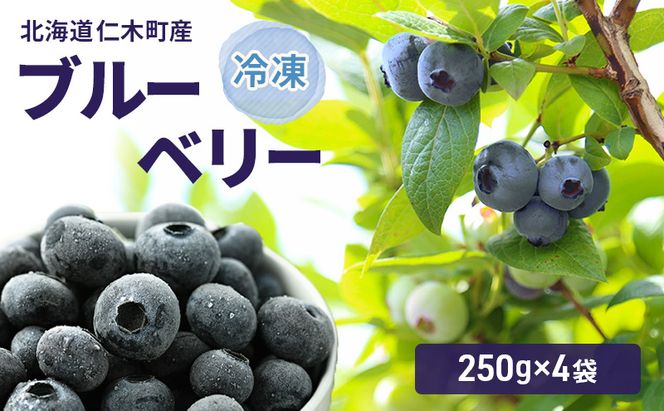 北海道 仁木町産 冷凍 ブルーベリー 250g×4袋 [ 北海道産 国産 ベリー フルーツ 果樹 くだもの 果物 冷凍果実 ]