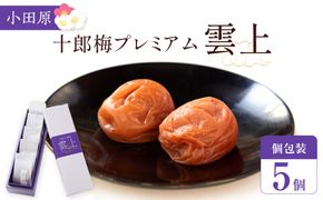【小田原のブランド梅の大粒梅干し】雲上５個入り【 梅干し 神奈川県 小田原市 】 142069_CW083