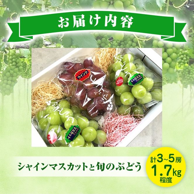 【A049先行予約受付・産直もぎたて】新鮮ぶどう詰め合わせ（シャインマスカットと旬のぶどう）1.7kg（果実 フルーツ ぶどう マスカット 2024 先行予約 人気 限定 宮崎 小林市）