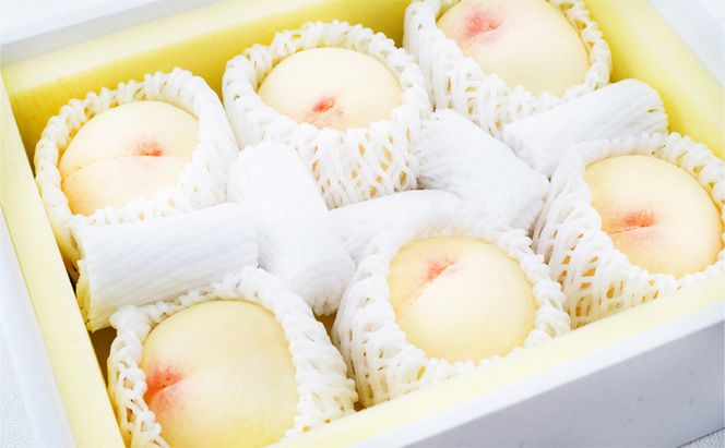 フルーツ 定期便 2026年 先行予約 岡山 の 桃 食べ比べ 定期便 3回コース もも モモ 岡山県産 国産 フルーツ 果物 セット ギフト 