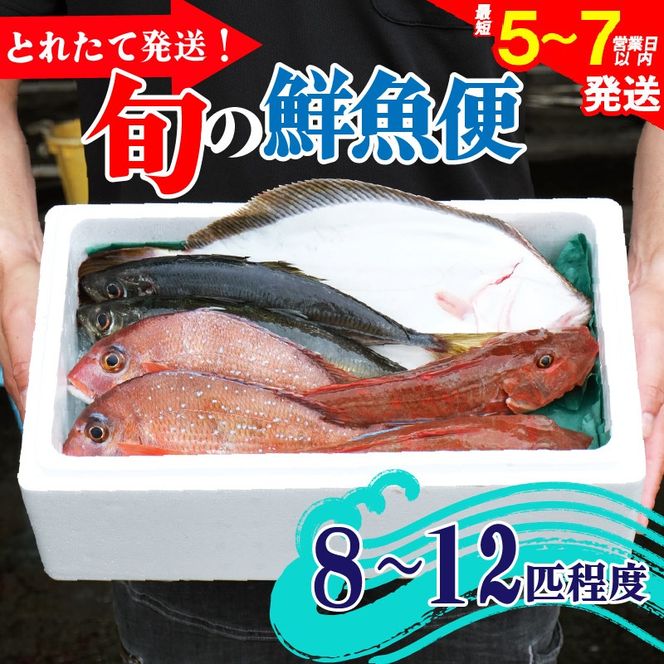 y茧DnszN { lꂽ Zbg 8`12C N CN L  N { lꂽ Zbg lߍ킹    C̍K  FISH ͂ [  { hg hg ܂ ӎ   OY 茧 Dns [mouri005]