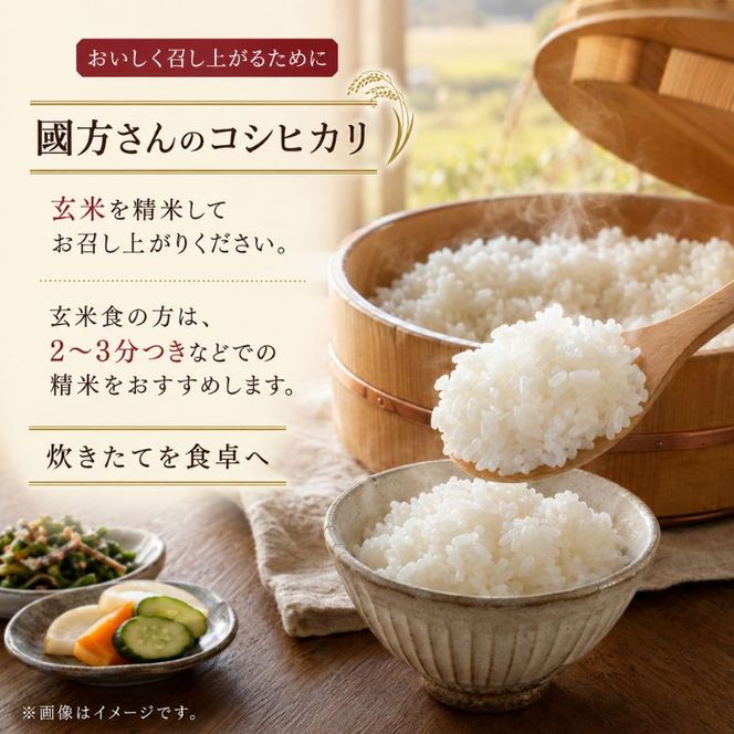 令和8年新米　 國方さんの「コシヒカリ」30kg（玄米）米 玄米 コシヒカリ  