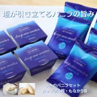 TV紹介 塩バニラアイス 9個 最中 カップ 室戸海洋深層水使用 高知 アイス アイスクリーム ご当地 スイーツ ご当地スイーツ 塩 もなか 最中アイス カップアイス 詰合せ 詰め合わせ ギフト ふるさと納税