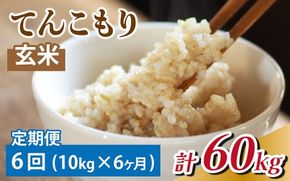 【6ヶ月定期便】 富山県滑川産　「てんこもり」与文のお米 （玄米10kg）×6回 計60kg[K-050001] / 産地直送 袋 てんこもり おにぎり お米 白米 国産 ご飯 ごはん 富山県 滑川市 アグリめぐみ 頒布会 定期便 [K-050001]