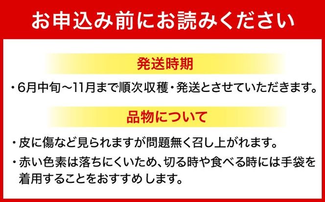 【2026年発送 先行受付】 完熟ドラゴンフルーツ 2kg (5玉) 果物 フルーツ スーパーフード 産地直送 無農薬 沖縄市 / タカエスフルーツ＆ベジタブル[BCBH004]