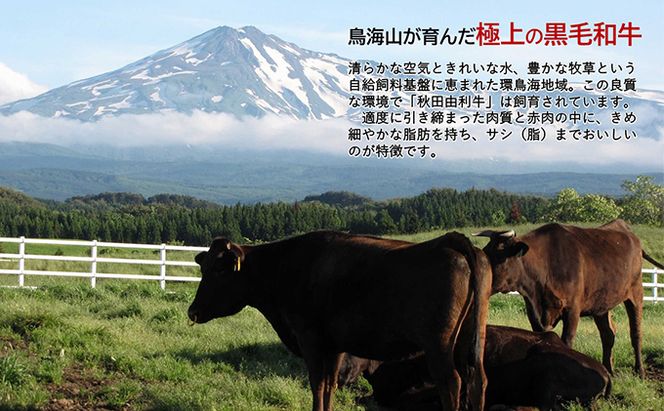 《定期便》5ヶ月連続 秋田由利牛 バラ切り落とし 5kg（1kg×5パック）