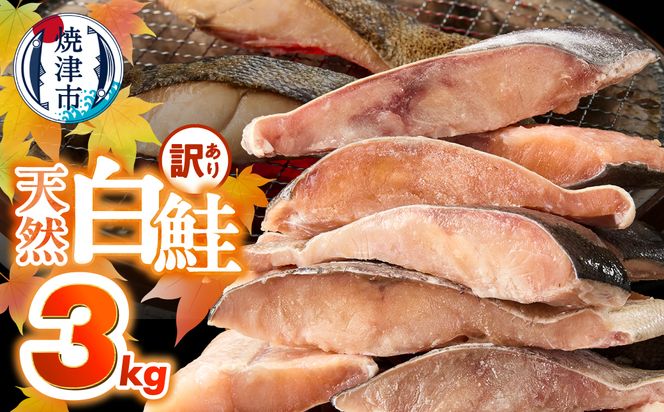 a20-488　訳あり！ 天然 白鮭 甘口 切身 約3kg 便利なジッパーバック入り