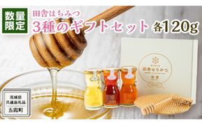 【 数量限定 】 田舎はちみつ 3種 ギフト セット [ 結蜜 Musubi-R3 120g ]（ 茨城県共通返礼品： 五霞町 ） 季節で移ろう 生ハチミツ 蜂蜜 非加熱 茨城県産 国産 天然 純粋 贈答用 [EG003us]