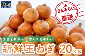 【予約：2026年10月中旬から順次発送】JAきたみらいから直送する甘くて美味しい新鮮玉ねぎ 20kg Lサイズ以上 ( たまねぎ 野菜 北海道 玉葱 )【104-0008-2026】