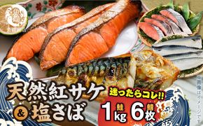 G7319_迷ったらコレ！！魚鶴商店の天然紅サケ 1kg & 塩さば 6枚セット