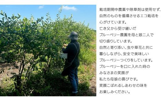 《 先行予約 》完熟 新鮮ブルーベリー 約1kg 【2026年6月上旬頃より発送開始】＜ 産地直送 ＞ ベリー 1kg 1キロ 甘い 甘酸っぱい 冷凍 大粒 おいしい 美味しい フルーツ 果物 くだもの おやつ 無農薬 農薬不使用 お取り寄せ お土産 贈り物 贈答 ギフト 国産 茨城 農園 [BK001us]