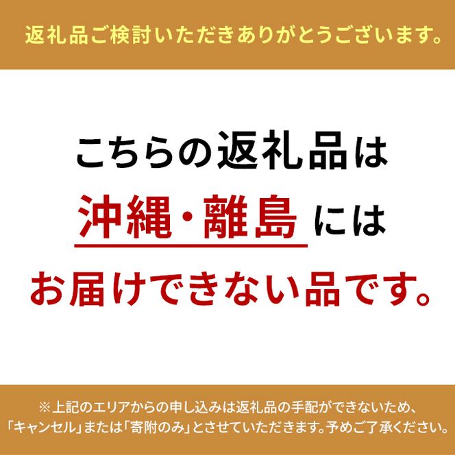 ぶどう 2026年 先行予約 ［ご家庭用］ シャイン マスカット 2房（合計1kg以上） ブドウ 葡萄 岡山県産 国産 フルーツ 果物 OEC KINGDOM ぶどう家 果物類 