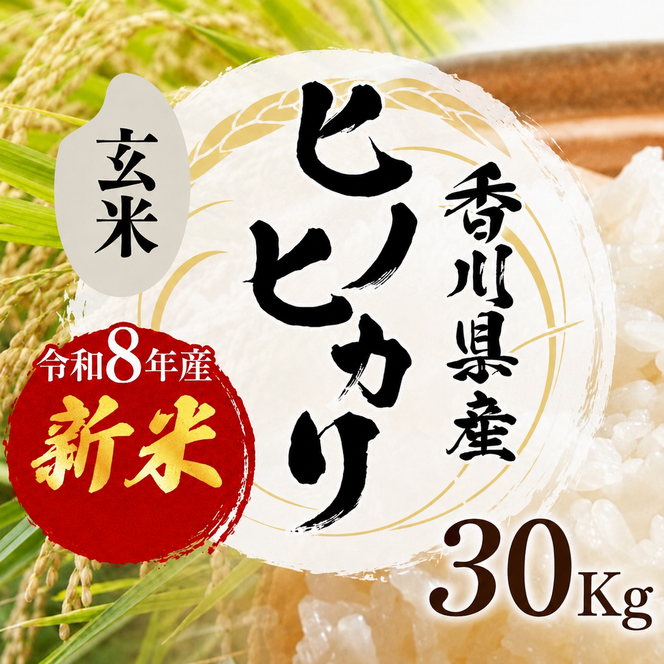 ヒノヒカリ 玄米 30kg 令和8年産 新米 香川県産 ひのひかり 小路農園 お米 玄米ごはん ご飯 おにぎり 主食 奨励品種 小粒 厚み 家族総出 一斉出荷 お弁当 米 甘み 旨み 東かがわ市
