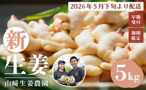 早期受付 期間限定 みずみずしさがたまらない 新生姜 約5kg【2026年5月下旬～9月上旬配送】高知県 高知 四万十市 四万十 しまんと 農作物 特産 しょうが 生姜 ショウガ 野菜 旬 新鮮 国産 先行 予約 ジンジャー 25-819
