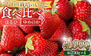 こだわり栽培 いちご 【食べ比べ】 約1kg はるひ＆ゆめのか(各2パック)【2026年1月下旬～2026年4月末までお届け】 232238_DS009