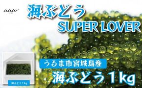 海ぶどうSuperLover　大容量1kgパック【2026年4月より順次発送】