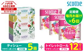 【定期便6回】【毎月お届け】【スコッティ】 組み合わせ ティシュー フラワーボックス 250組 5箱 計30箱 トイレットロール ダブル フラワーパック 3倍長持ち 12ロール 計72ロール ティッシュ トイレットペーパー 日用品 ストック 防災備蓄 ストック 備蓄 新生活 防災 消耗品 生活用品 日用消耗品 箱ティッシュ