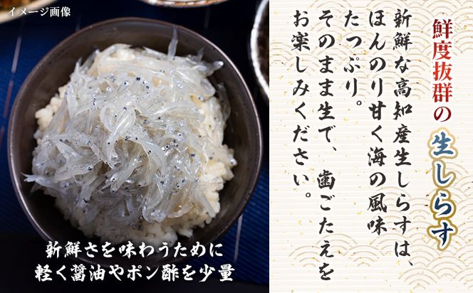 鮮度抜群の生しらす 100g×2袋 - 国産 生食 小分けパック 海鮮 新鮮 そのまま 魚介 釜揚げしらす しらす丼 海鮮丼 ご飯のお供 お取り寄せ 産地直送 竜馬 龍馬の海鮮隊 野島水産 高知県 香南市 冷凍 nz-0091