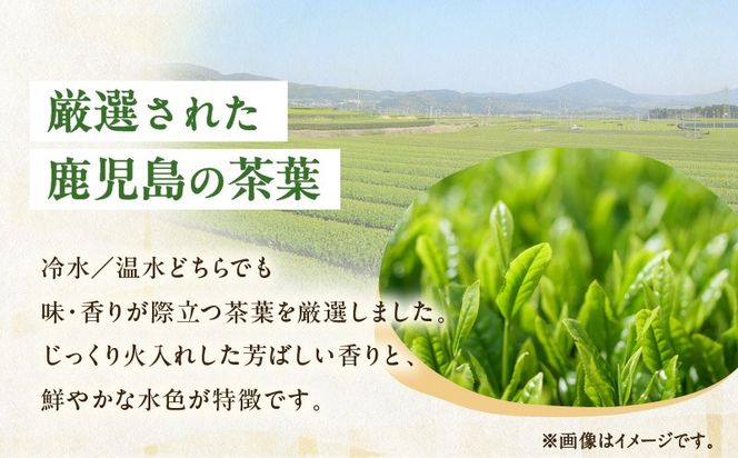 【期間限定】容量選べる！水出し煎茶 緑茶ティーバッグ　K111-039