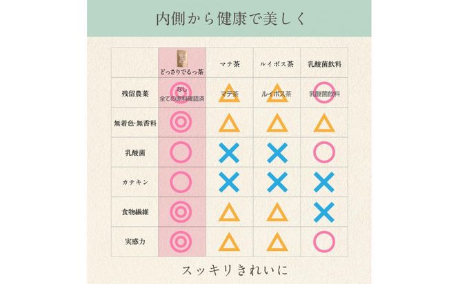 日本第一製薬　どっさりでるっ茶1袋30包入（ノンカフェイン） 312011_GJ001