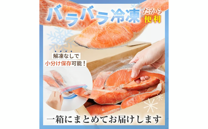 【定期便・全3回(連続)】訳あり 厚切り 塩 銀鮭 切り身(総計3kg・1kg×3回) 銀さけ しゃけ さけ サケ 切身 塩鮭 塩焼き 焼き魚 おかず お惣菜 簡易包装 冷凍 厚切 【YS-6】【株式会社安田】