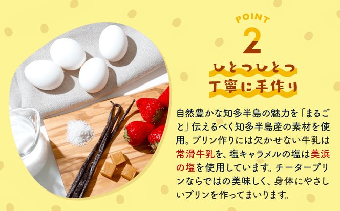 チータープリン 6 個 セット ( プレーン × 3 抹茶 塩 キャラメル フルーツ ) 冷蔵 プリン 子供向け スイーツ デザート ギフト お土産  贈答用 お歳暮 まるごと知多チータプリン 愛知県 南知多町 【配送不可地域：離島・北海道・沖縄県・東北・中国・四国・九州】