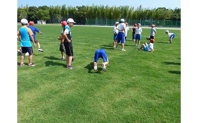 AO-1 ☆鹿島アントラーズ練習場で使用の芝生　50平方メートル