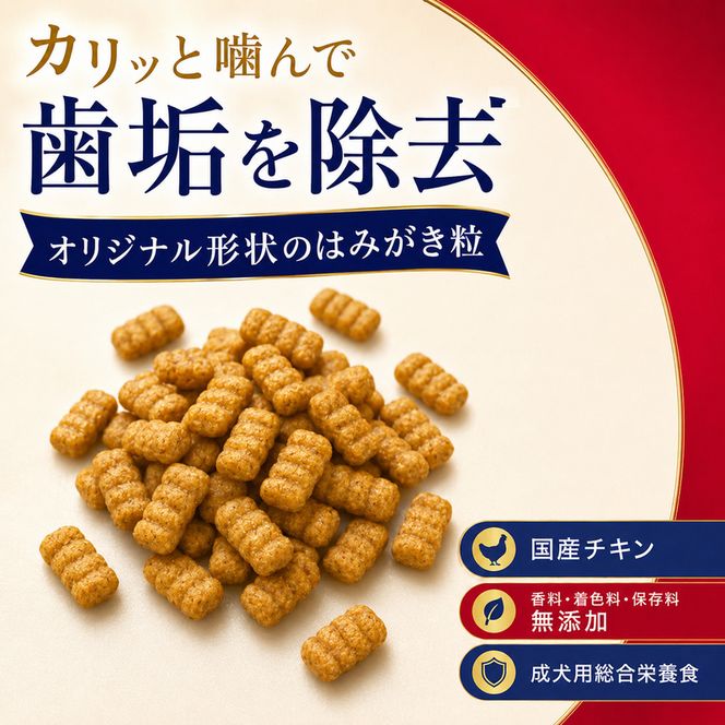 ビューティープロ ドッグ 歯の健康 1歳から 2.3kg ｘ4(ケース単位) ドッグフード