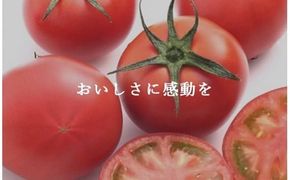 B43アメーラトマト
