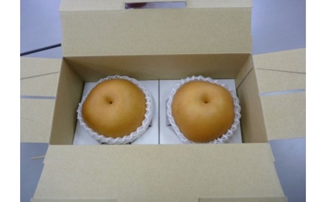 【2026年栃木県鹿沼産】大玉な梨（にっこり） 約2kg ナシ 果物 フルーツ ※2026年10月～発送