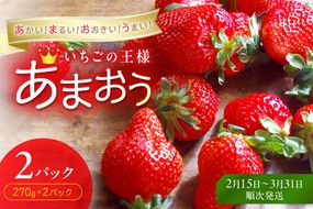 【先行予約受付中】【2027年2月15日～3月31日順次発送】福岡県産いちご「あまおう」270g×2パック【hurrah.】_HA1972