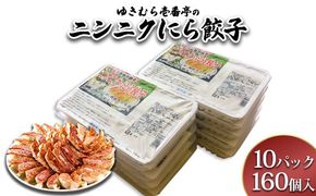 ゆきむら壱番亭のニンニクにら餃子10パック(160個入り)　※離島への配送不可