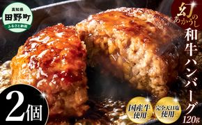 幻のあかうし和牛ハンバーグ 2個入り 1個120g 田野屋青蜂 白鯆 完全天日塩練り込み 肉 お肉 国産牛 土佐あかうし 四万十ポーク おかず 惣菜 おいしい お取り寄せ 冷凍 配送 高知県 田野町