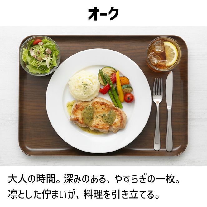 TATSU-CRAFT マグネットトレー SS 21.5cm ウッド OK オーク すべり止め付き ［Tk1041］ 303446_DA90794VC02