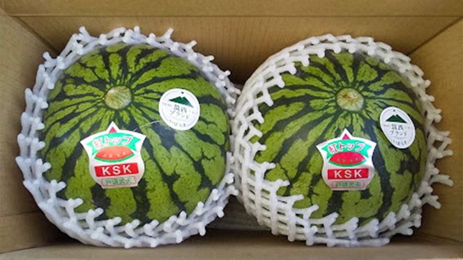 【 先行予約 】 希少品種 「 紅トップ 」 茨城県産 小玉 すいか  2玉入り Lサイズ スイカ  [AG003ci]