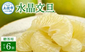 【先行予約】高知県産水晶文旦 特選ご贈答用 中玉6個入り〈2026年10月上旬～11月上旬頃発送〉ぶんたん ブンタン 水晶文旦 果物 柑橘 【白木果樹園】 [BQAI019]