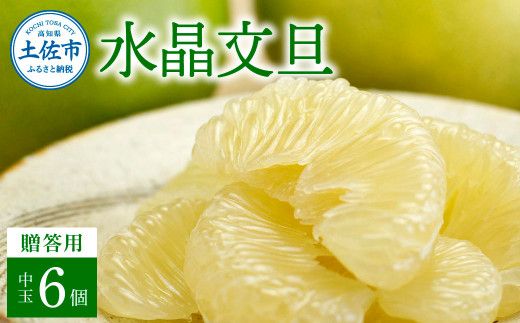 【先行予約】高知県産水晶文旦 特選ご贈答用 中玉6個入り〈2026年10月上旬～11月上旬頃発送〉ぶんたん ブンタン 水晶文旦 果物 柑橘 【白木果樹園】 [BQAI019]