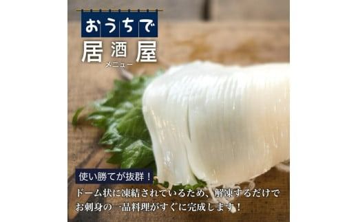 【道水】お刺身いかそうめん（業務用）約550g　いか耳塩辛110g付き_HD108-021