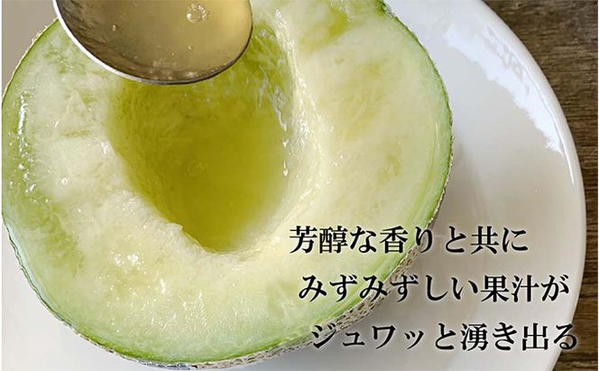 クラウンメロン【並（白等級）】特大玉（1.5kg前後）2玉入り 人気 厳選 ギフト 贈り物 デザート グルメ 果物 袋井市 果物類 メロン青肉 フルーツ