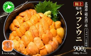 北海道 噴火湾産 塩水 バフンウニ 100g 9パック 計900g 《アフター保証付き》うに ウニ 雲丹 海鮮 海の幸 魚介類 ウニ丼 お寿司 濃厚 無添加 産地直送 お取り寄せ 山村水産 送料無料 【55250874】